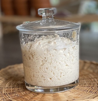 Ms.Gluf Gluten free starter